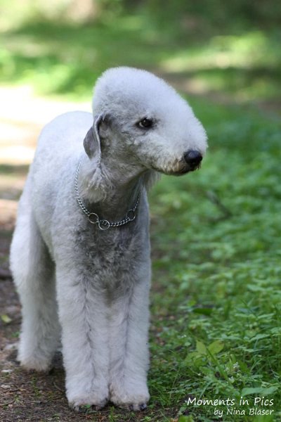 2010-05-29 Alanna und Svet (5).jpg - Arc-en-ciel Alanna 2010-05-29